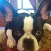 Mary Moldenhauer - @marymoldenhauer4 - TikTok