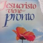 Mary Mollo - @mollo_mary - Instagram