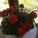 Mary Molter - Facebook