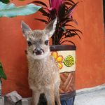Mary Monreal - @mary.monreal.7923 - Instagram