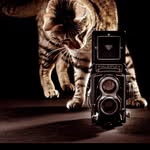 Mary Monzo - @maryzophoto_du74 - Instagram
