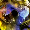 Mary Monzo - @marymonzo - TikTok