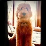 Mary Morrill - @mwolf116 - Instagram