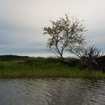 Mary Morrill - @marymorrillphotography - Instagram