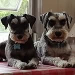 Mary Morrill Boardman - @marymorrillboardman - Instagram
