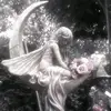 ♪°MARY`★`MORT°🎀☎️ - @marymort_43 - TikTok