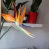 marysekermorvant - @marysekermorvant - TikTok
