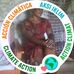 Mary Mose - Facebook
