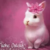 Fabienne - @marymotte453 - TikTok