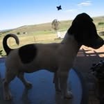 Mary Ann Mould - @maryannmould - Instagram