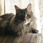Mary Vanderson Mousseau - @nightowl4me - Instagram