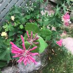 Mary Mulhern - @marymulhern25 - Instagram