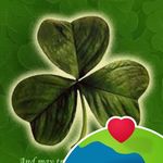 Mary Mulhern Miller - @mulhern2016 - Instagram