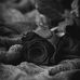 Mary Muna - Facebook