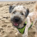 Mary E Munsell - @olivers_paw - Instagram