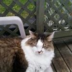 Mary Musto - @mustomary - Instagram