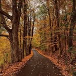 Mary Myatt - @avamary656 - Instagram