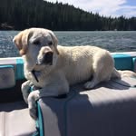 Mary Anne Mather Nally - @mmathernally - Instagram