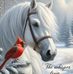 Mary Nally - Facebook