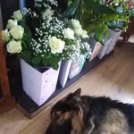 Mary Nally - @mary.nally.96 - Instagram