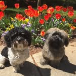 Mary Nann Marcey - @wilsonhobbes - Instagram