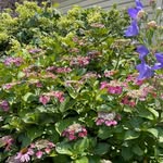 Mary Lynne Naples - @mlnaples121 - Instagram