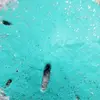 Mary Naples - @mary.naples - TikTok
