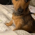 Mary Naples - Facebook