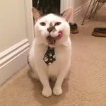 Mary Naples-Markowski - @maryenaples - Instagram