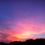 Mary Anne Narron - @maryannenarron - Instagram