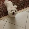 maryanasta - @maryanasta - TikTok