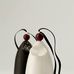 Mary Neeson Ceramics Killarney - Facebook