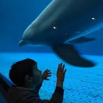Mary Negri - @mary.negri.14 - Instagram