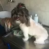Mary NegriMARY Negri y la la - @marynegri3 - TikTok