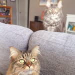 Mary Neher - @mags5826 - Instagram