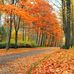 Mary Neher - Facebook