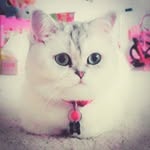 marynelli loyloy - @loyloymarynelli - Instagram