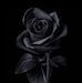 Marie Neubert - Facebook