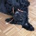 Marion Neuberger - Facebook