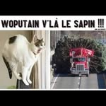 Mary Nicolas - @nicolasmary8006 - Instagram