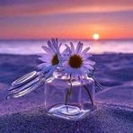 Mary Nicoletti - Facebook