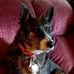 Mary Nilsen - Facebook