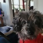 Mary - @mary.nolin25 - Instagram