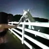 nova - @mary.novaa - TikTok