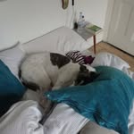 Mary nowell - @marynowell1952 - Instagram