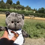 Mary Nyman - @mlpnysze - Instagram