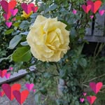 Mary Nyman - @mary.nyman.7 - Instagram