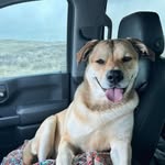Mary Nyquist - @mary_nyquist - Instagram