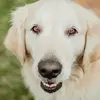 Mary Nyquist - @marynyquist - TikTok