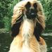 Mary Offerman - Facebook